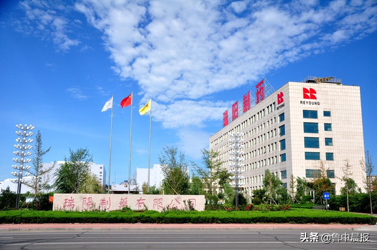 瑞阳制药什么时候上市,瑞阳制药的上市之旅，一场寻找内心平静的绿色探险