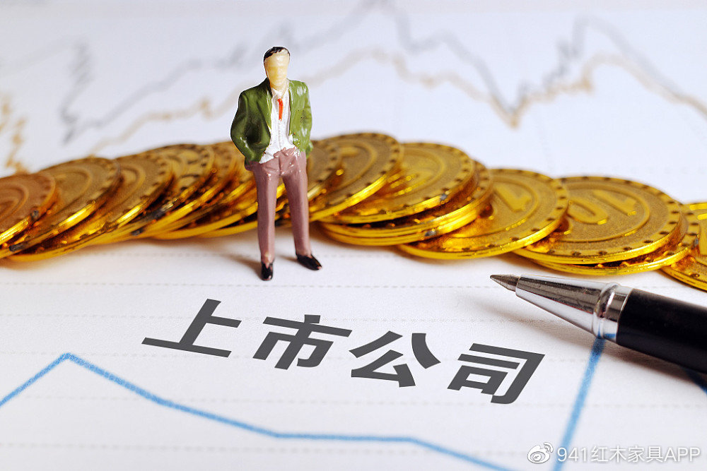 公司上市，辉煌之旅，迈向资本市场的胜利征程