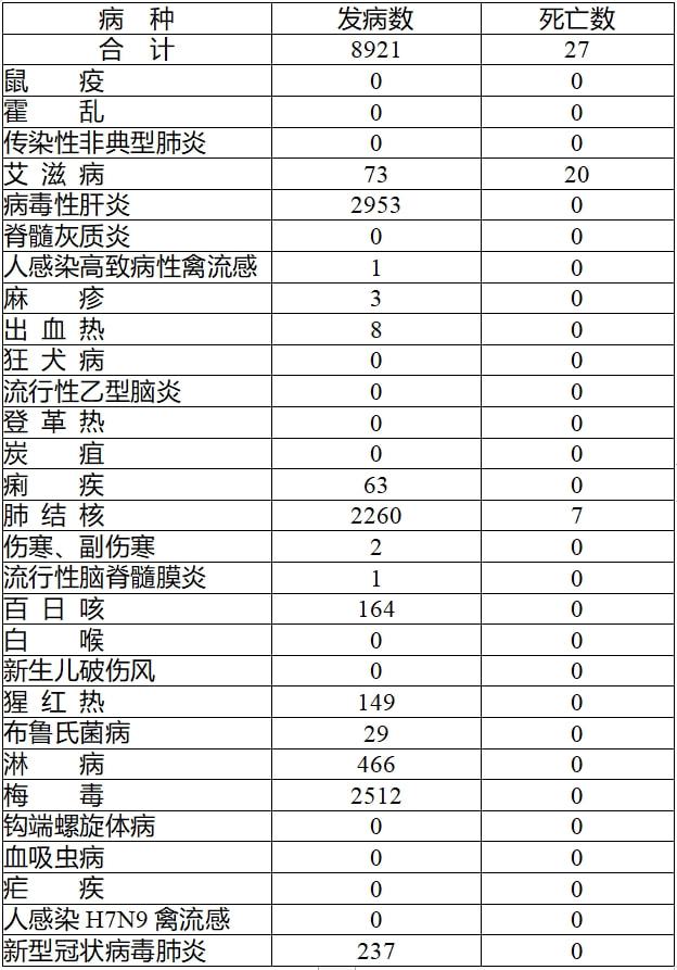 肺炎最新报表论述分析，关键数据与趋势解读