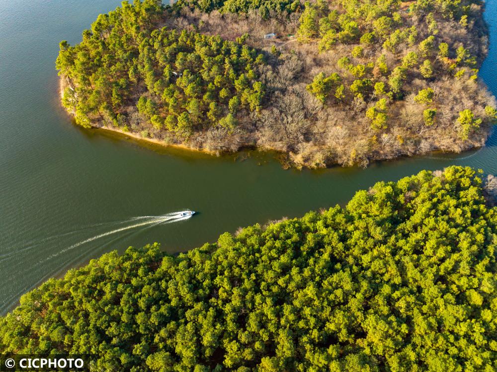 合肥金水湾项目最新进展更新