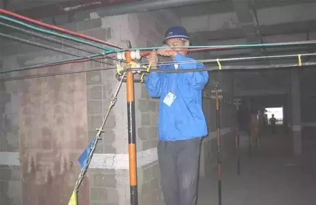 最新注册安全工程师管理规范，心灵与自然的和谐之旅