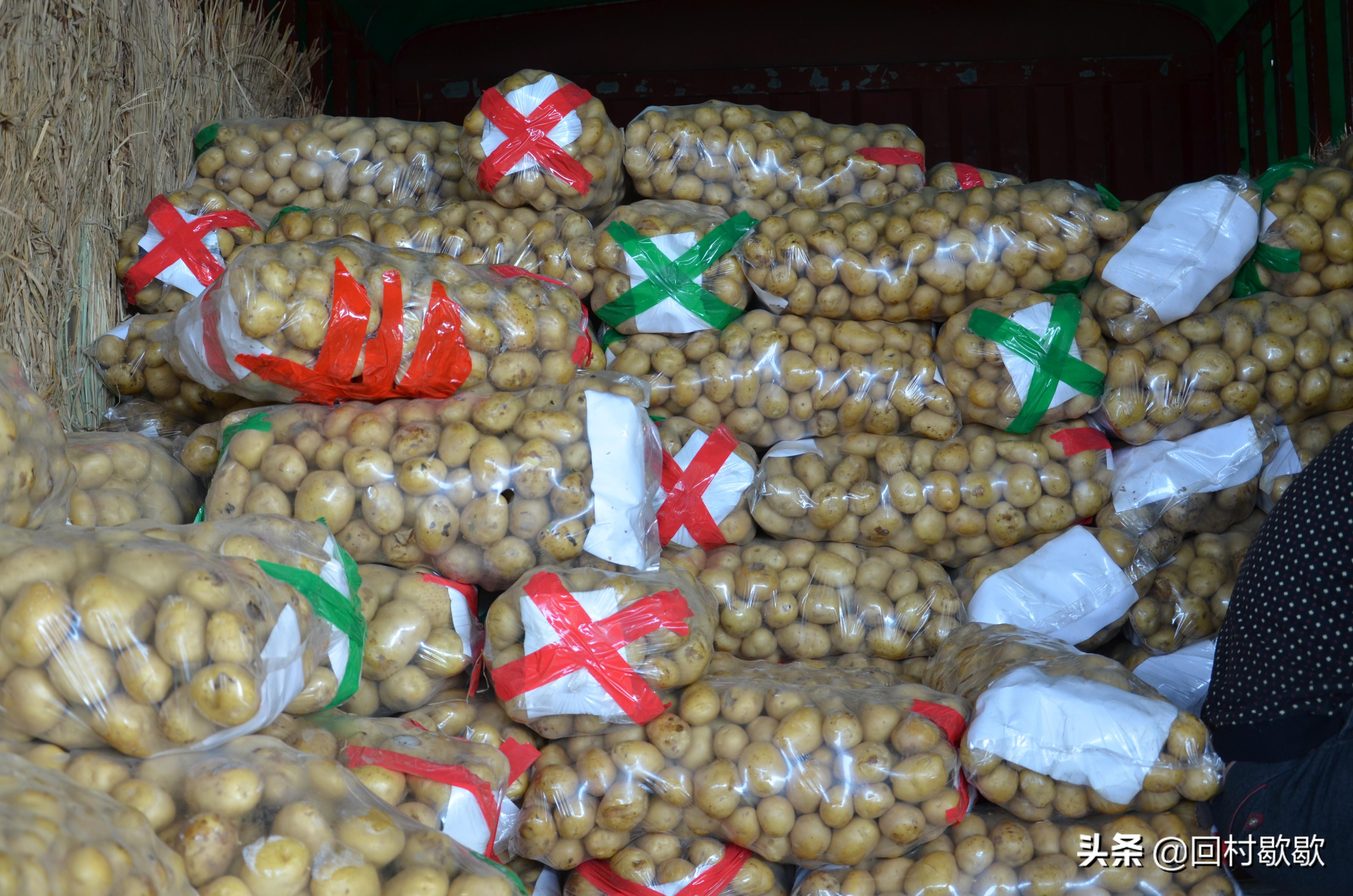 今日线椒价格行情,香辣友谊背后的故事与行情分析