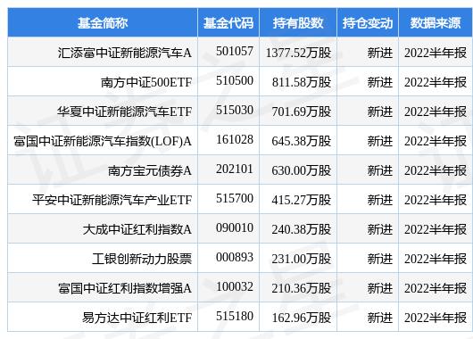 最新上会公告，开启一场探索自然美景的轻松之旅
