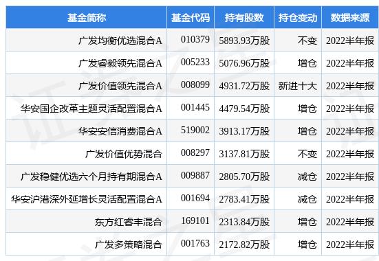 最新上会公告，开启一场探索自然美景的轻松之旅
