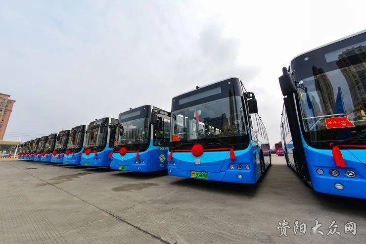 利辛县公交路线更新信息汇总