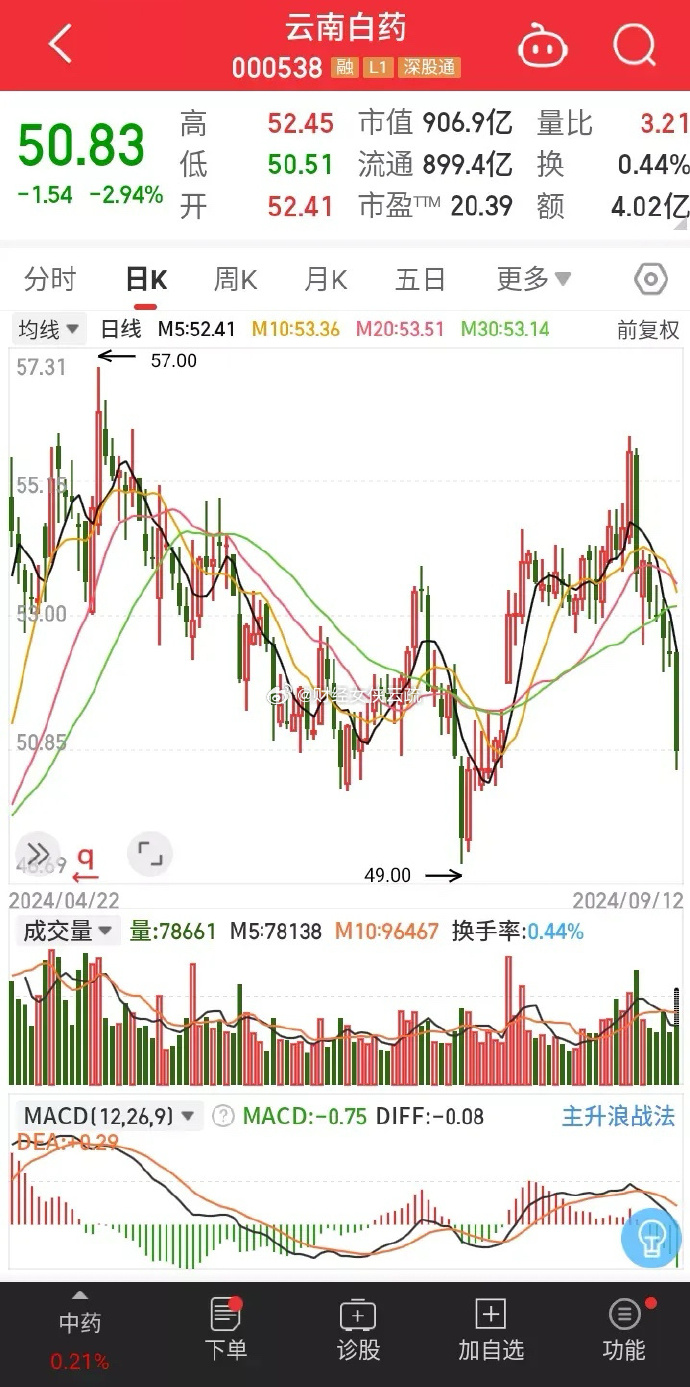 云南白药股票历史行情深度解析，小巷投资宝藏与独特风味小店揭秘