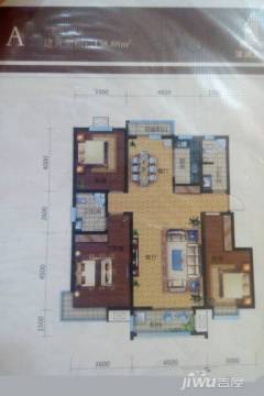 泽润天域最新动态与资讯更新