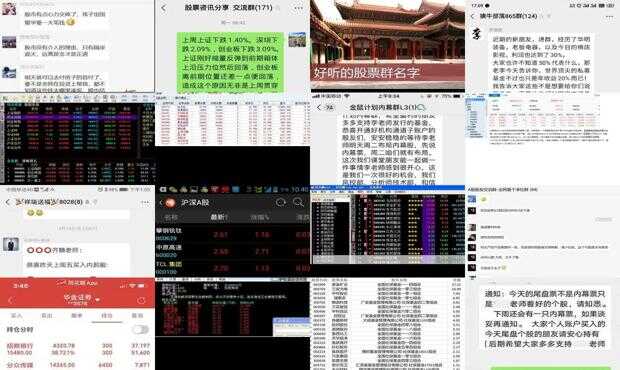 股票群名字，心灵与自然的股市奇妙之旅
