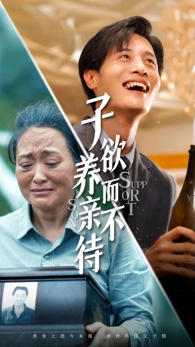 人生若只如初见电视剧，魅力与影响，免费观看指南