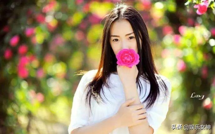 小巷深处的隐藏宝藏，最新动态图与活力四溢的特色小店故事