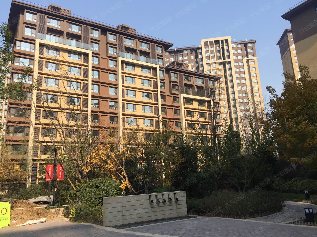 任县最新楼盘揭秘，背景、进展与地域影响力