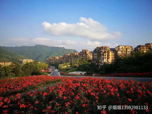 赤水天鹅堡最新房价走势及分析