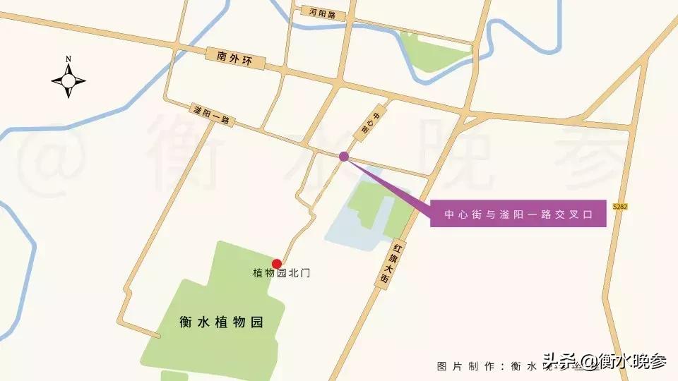 衡水植物园最新消息,衡水植物园最新消息，科技与自然共舞，打造未来生态体验新纪元