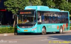 邢台31路公交最新路线,邢台31路公交最新路线，探秘小巷中的隐藏美食与独特风情