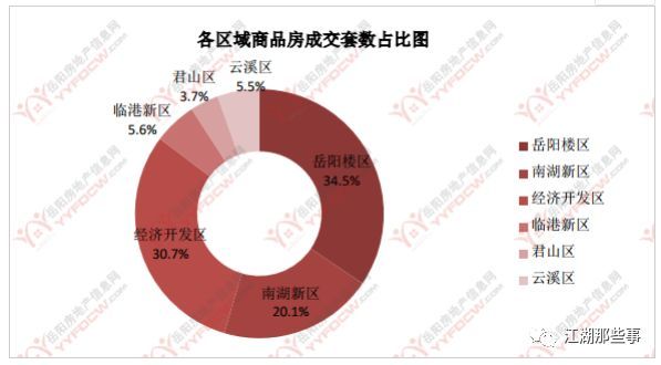 岳阳市房价最新动态，多元视角下的观察与解析