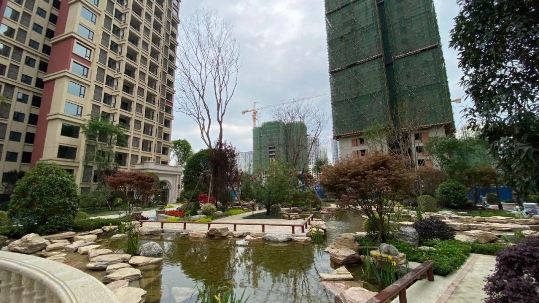 欧城联邦最新进展深度解析，观点阐述与分析
