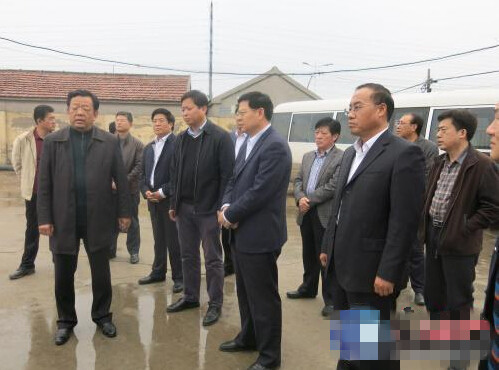东营利津新闻最新动态，自然之旅的心灵觉醒