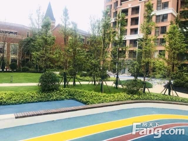 协信天骄公园最新动态揭秘，小巷里的惊喜探索与隐藏特色小店