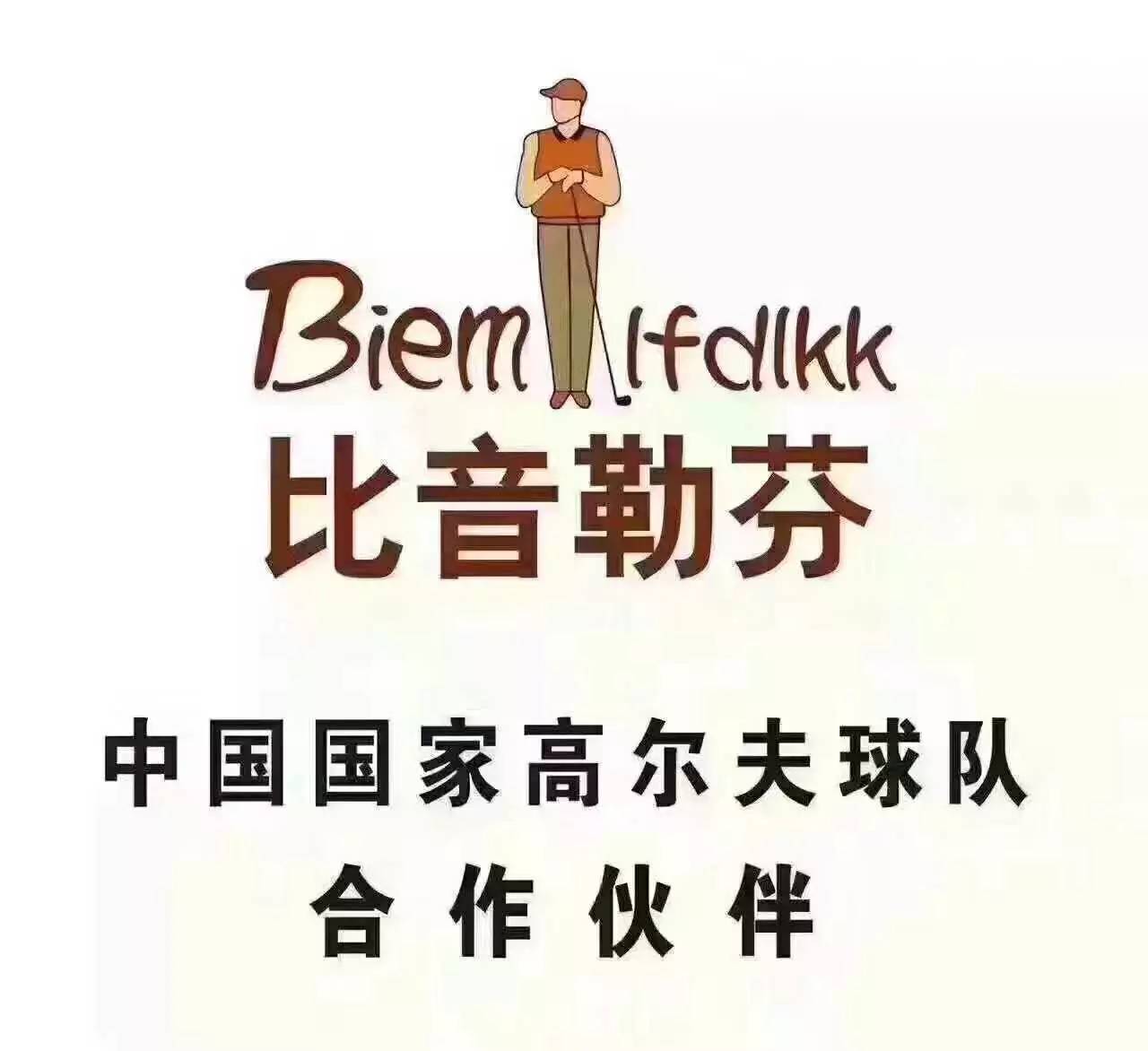 比音勒芬最新消息全解析，获取步骤指南（适用于初学者与进阶用户）