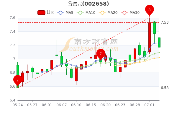 雪迪龙股票最新动态与行业趋势展望，公司动态、前景展望揭秘