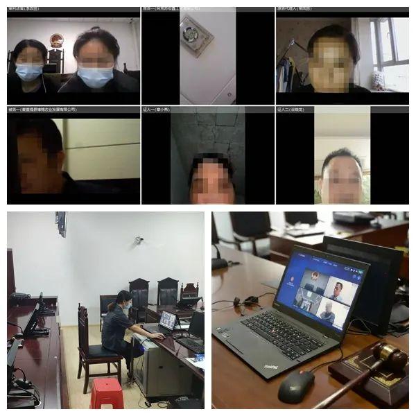 公道互联最新动态，学习变化，自信塑造未来之路