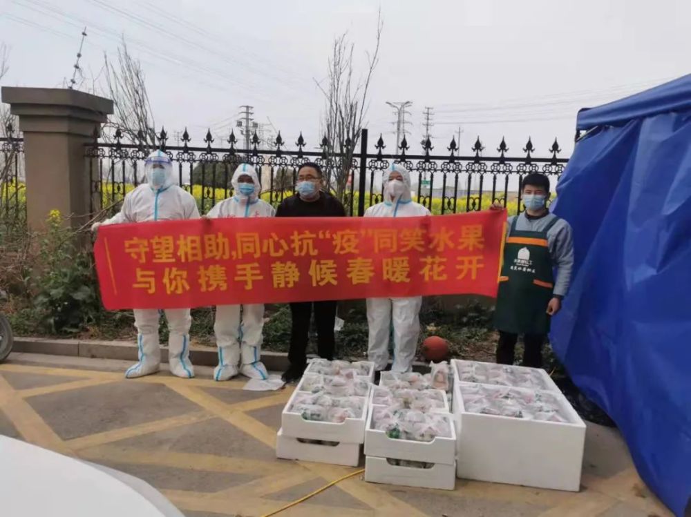 洋河最新疫情观点论述概述