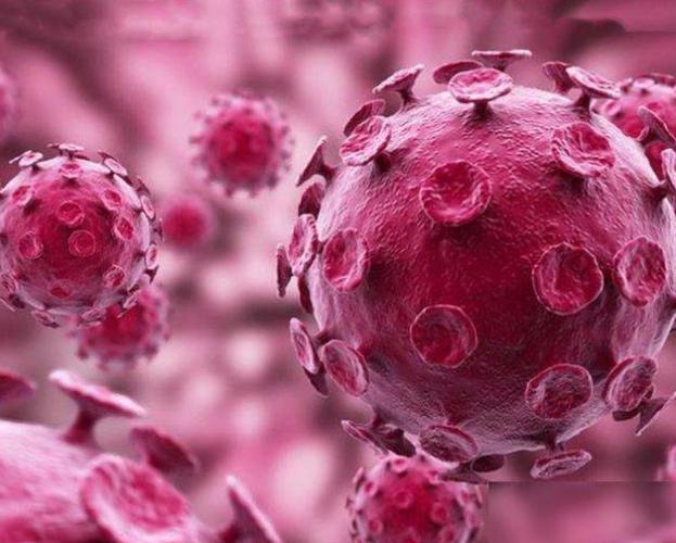 最新肺炎进展探索与小巷深处的独特小店揭秘