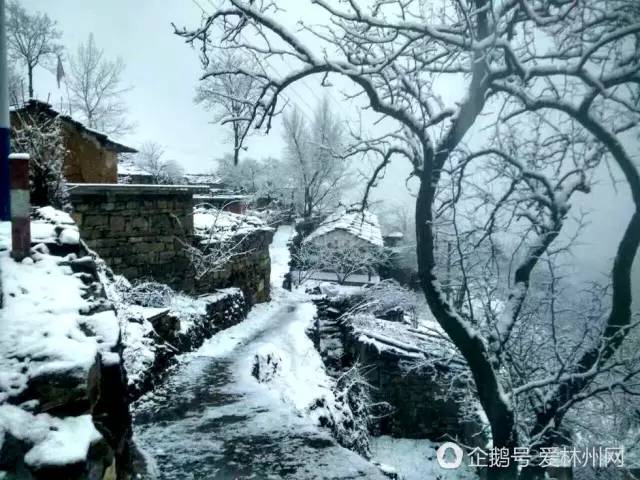 林州下雪最新，一场雪的故事