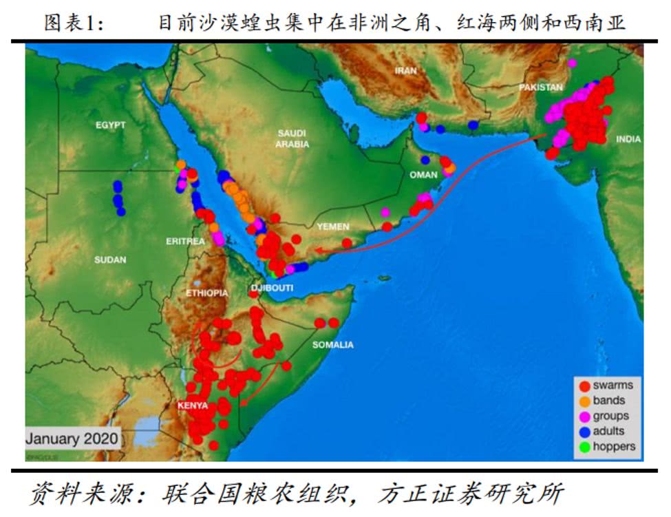 最新蝗虫地图背后的温情故事