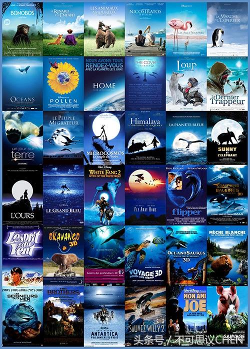 影院最新上映电影及热门大片全览