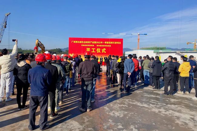 博白最新新闻，城市中的温馨日常故事