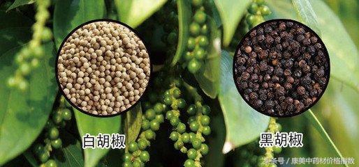 胡椒最新价格，味道在变，你的生活也在变。