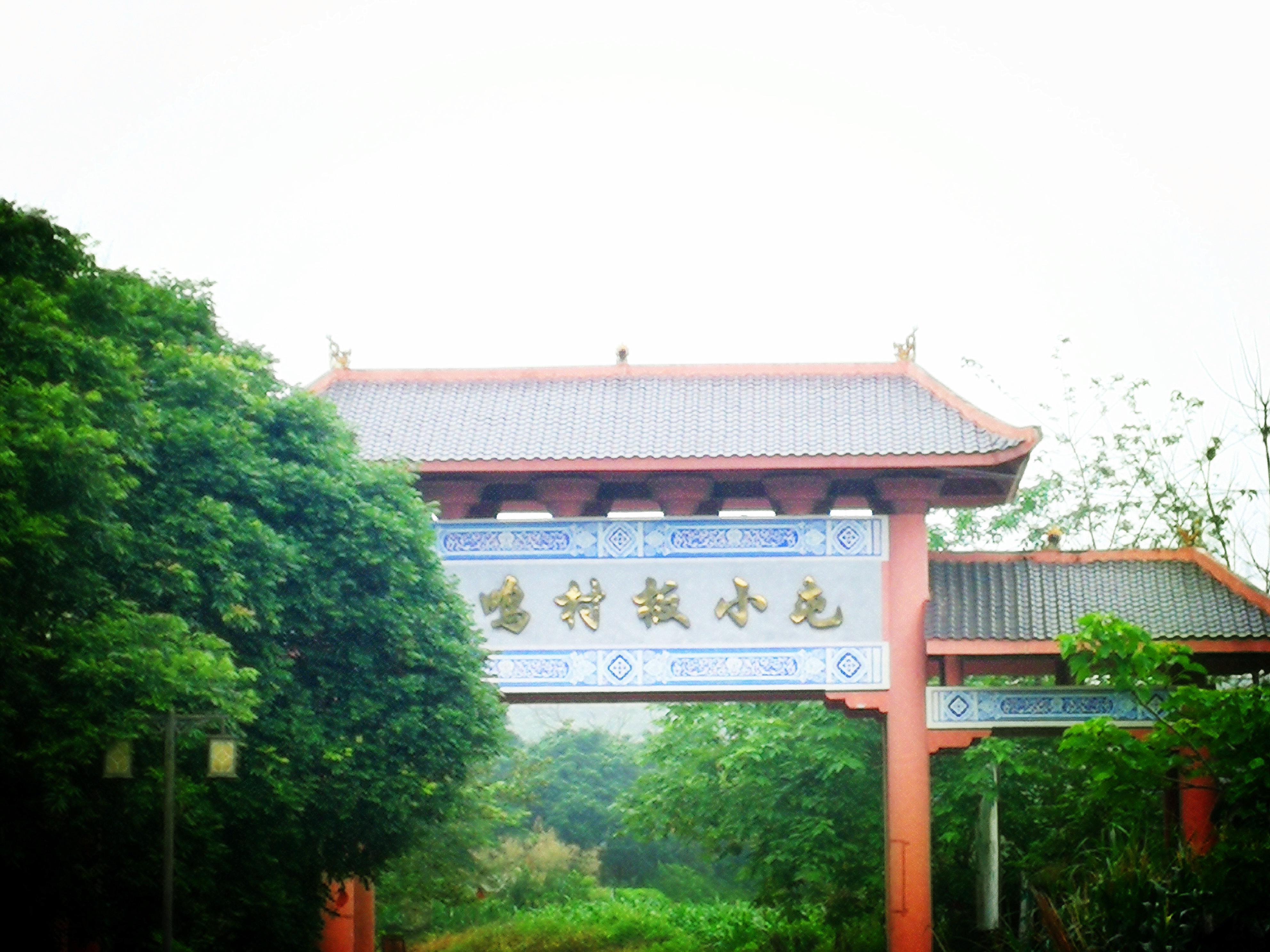 最新致富经,最新致富经，探索致富之路的多元观点