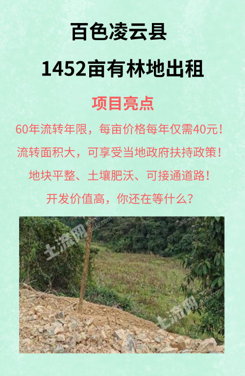 百色最新地皮购买指南，从初学者到进阶用户的详细购买步骤