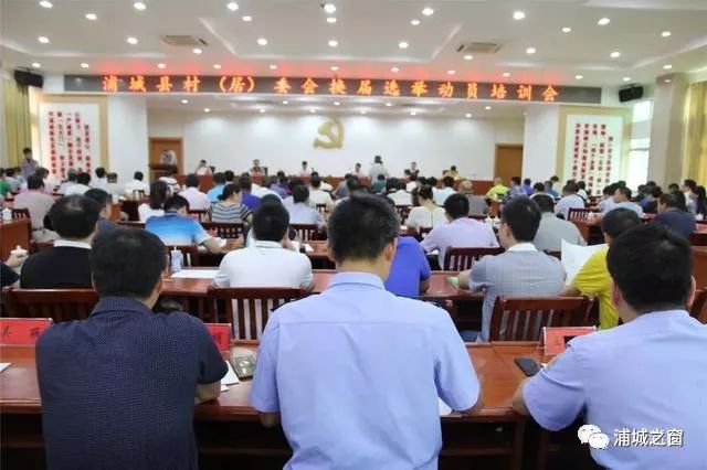 浦城新闻最新消息视频，多元视角解读报道