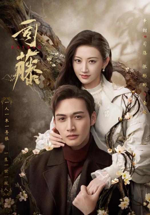 最新热门电视剧，城市生活的温馨日常