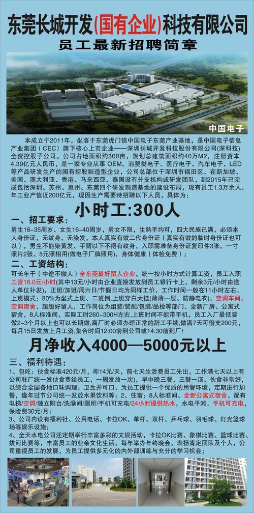 深圳美律电子最新招聘，求职路上的温馨故事启程